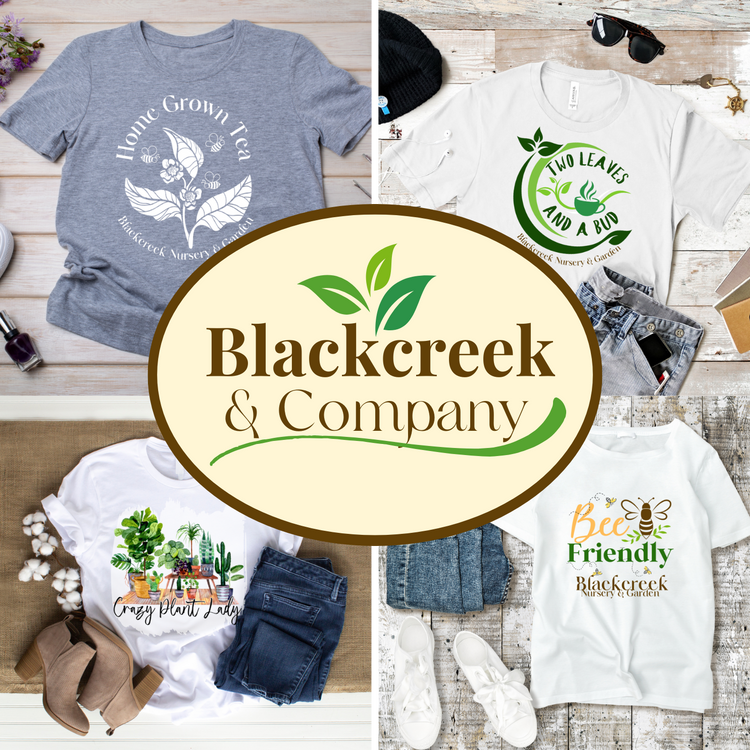 Blackcreek T-Shirt Collection