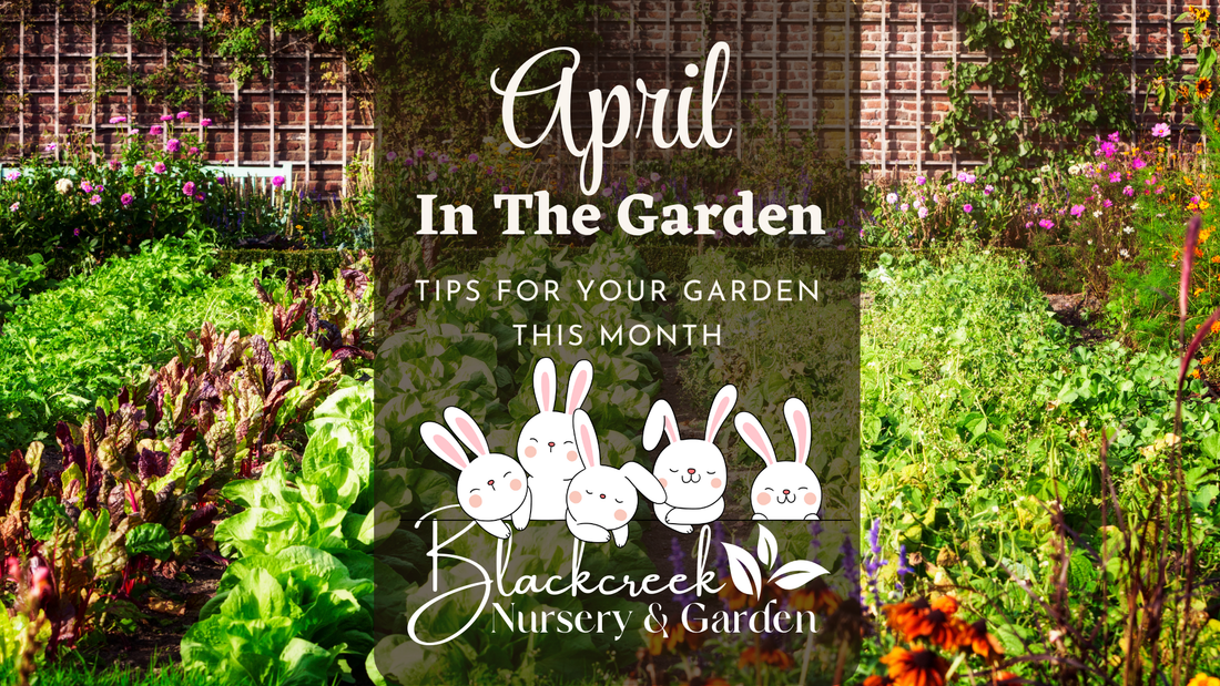 April In The Garden
