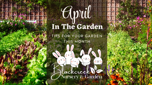 April In The Garden