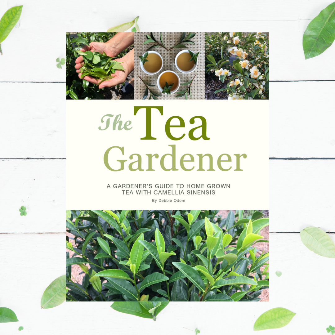 The Tea Gardener
