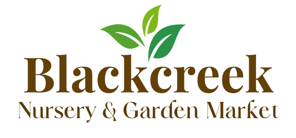 Blackcreek Nursery and Camelliashop