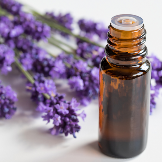 Lavender Essential Oil, 10ML