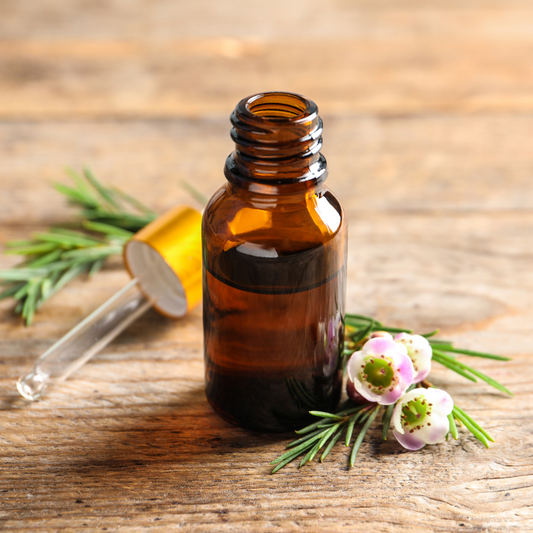 Tea Tree Essential Oil, 10ML